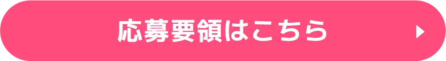 応募要領PDF